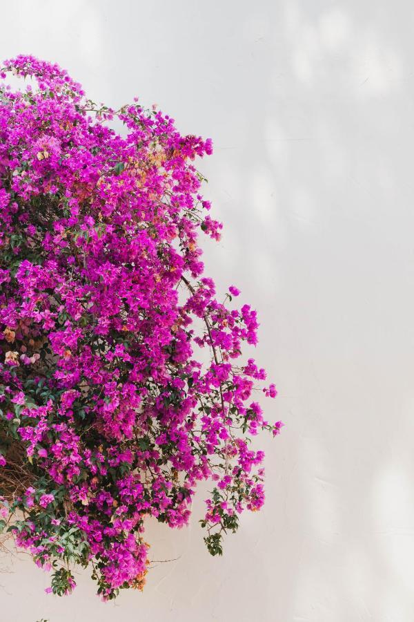 Ritual De Terra&spa Jávea